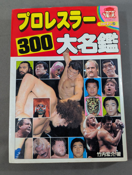 Pro Wrestler 300 Directory