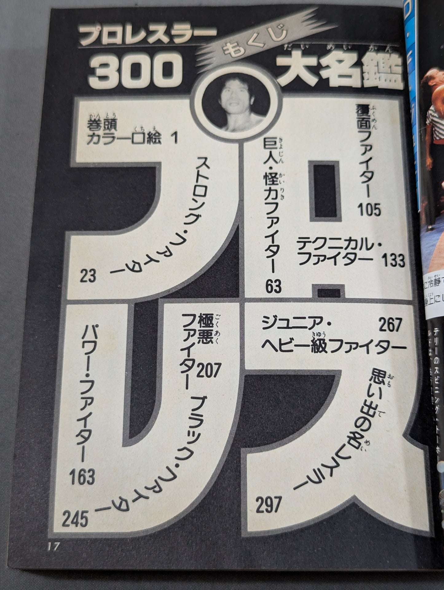 プロレスラー300大名鑑