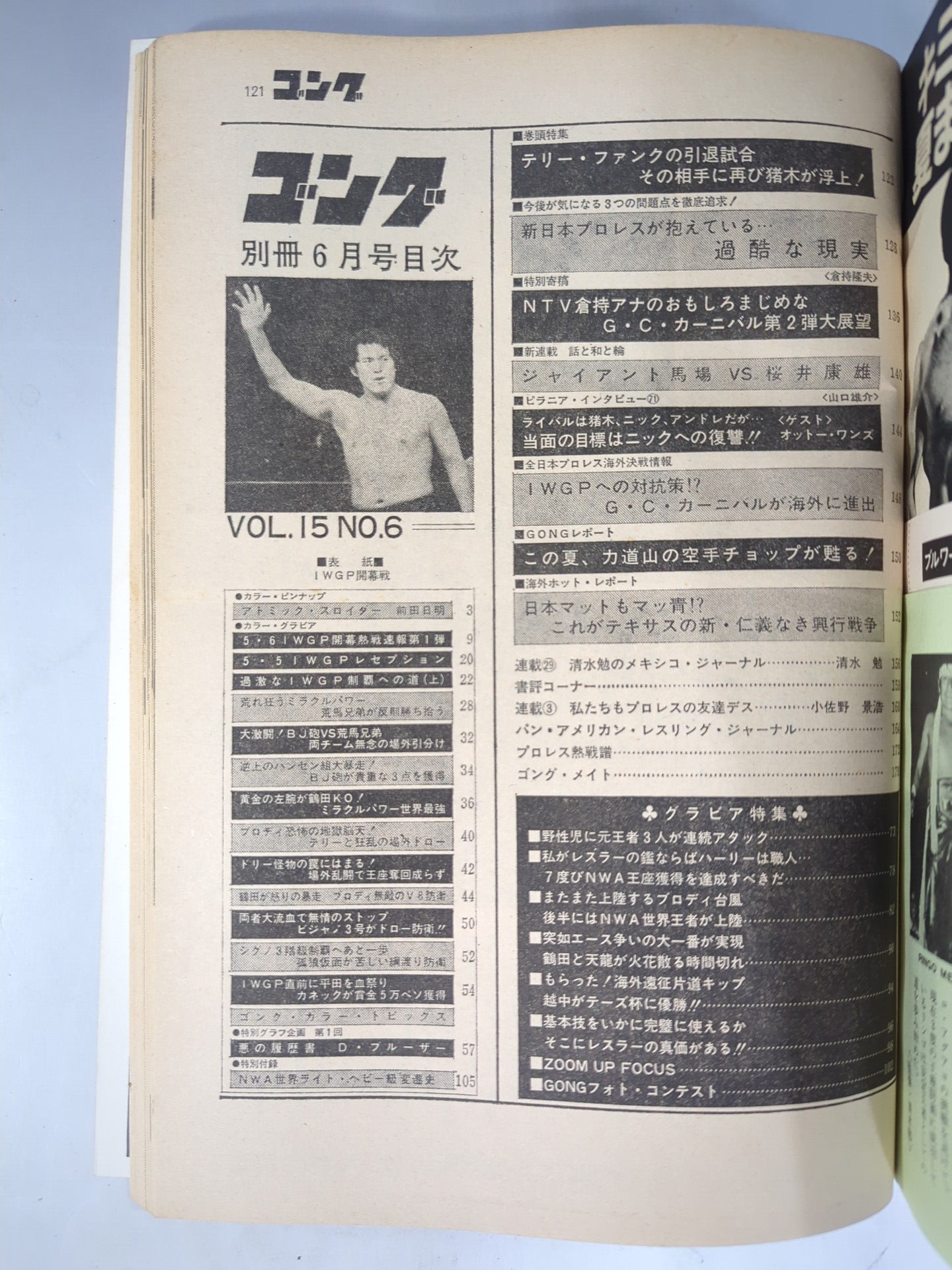 別冊ゴングVol.15 No.6
