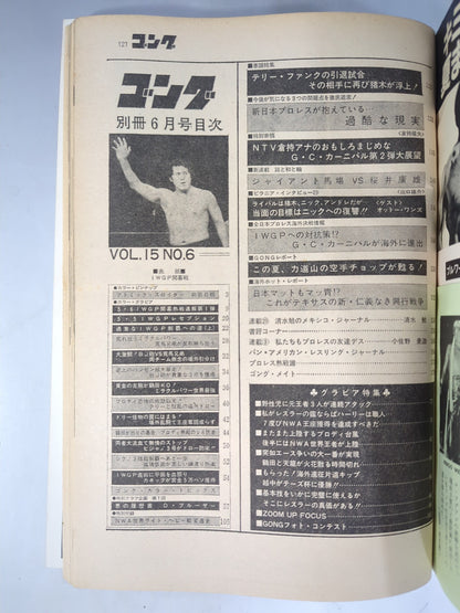別冊ゴングVol.15 No.6