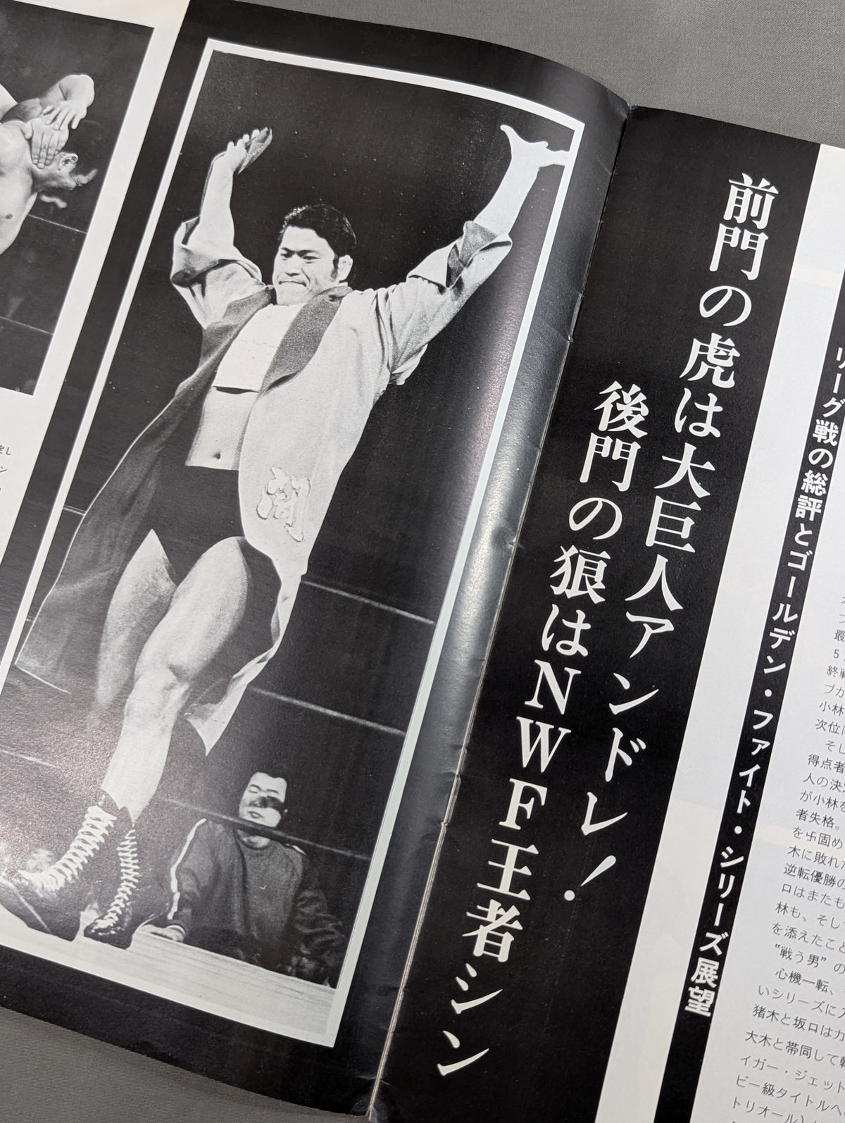 75ゴールデンファイトシリーズ