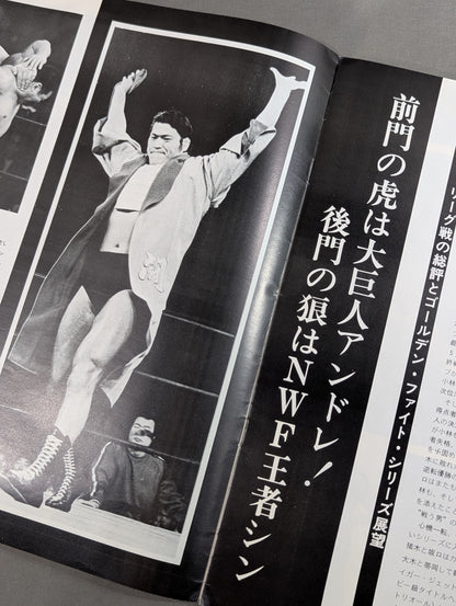 75ゴールデンファイトシリーズ