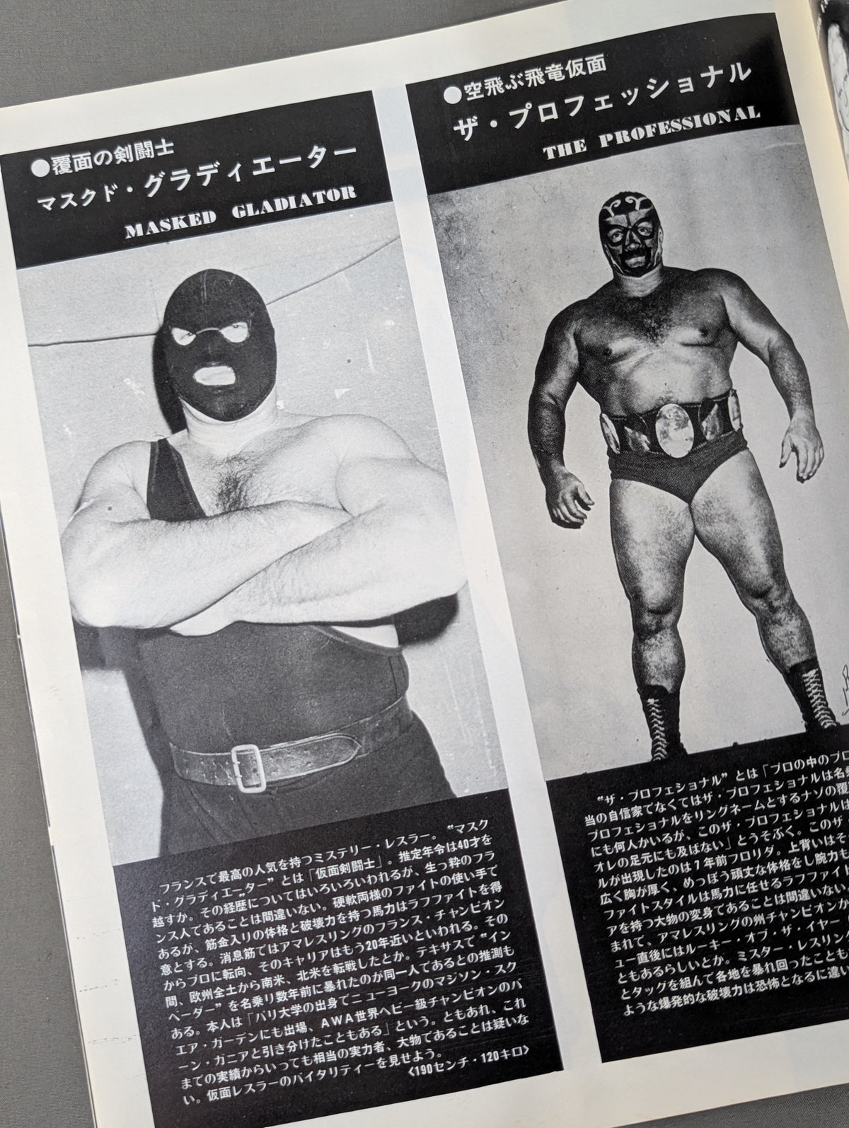 75ゴールデンファイトシリーズ
