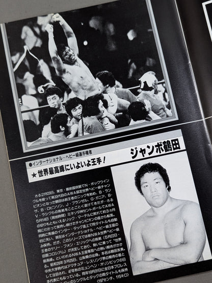 ★ Tsuruta vs Robinson Inter 84 ★ Grand Champion Carnival II
