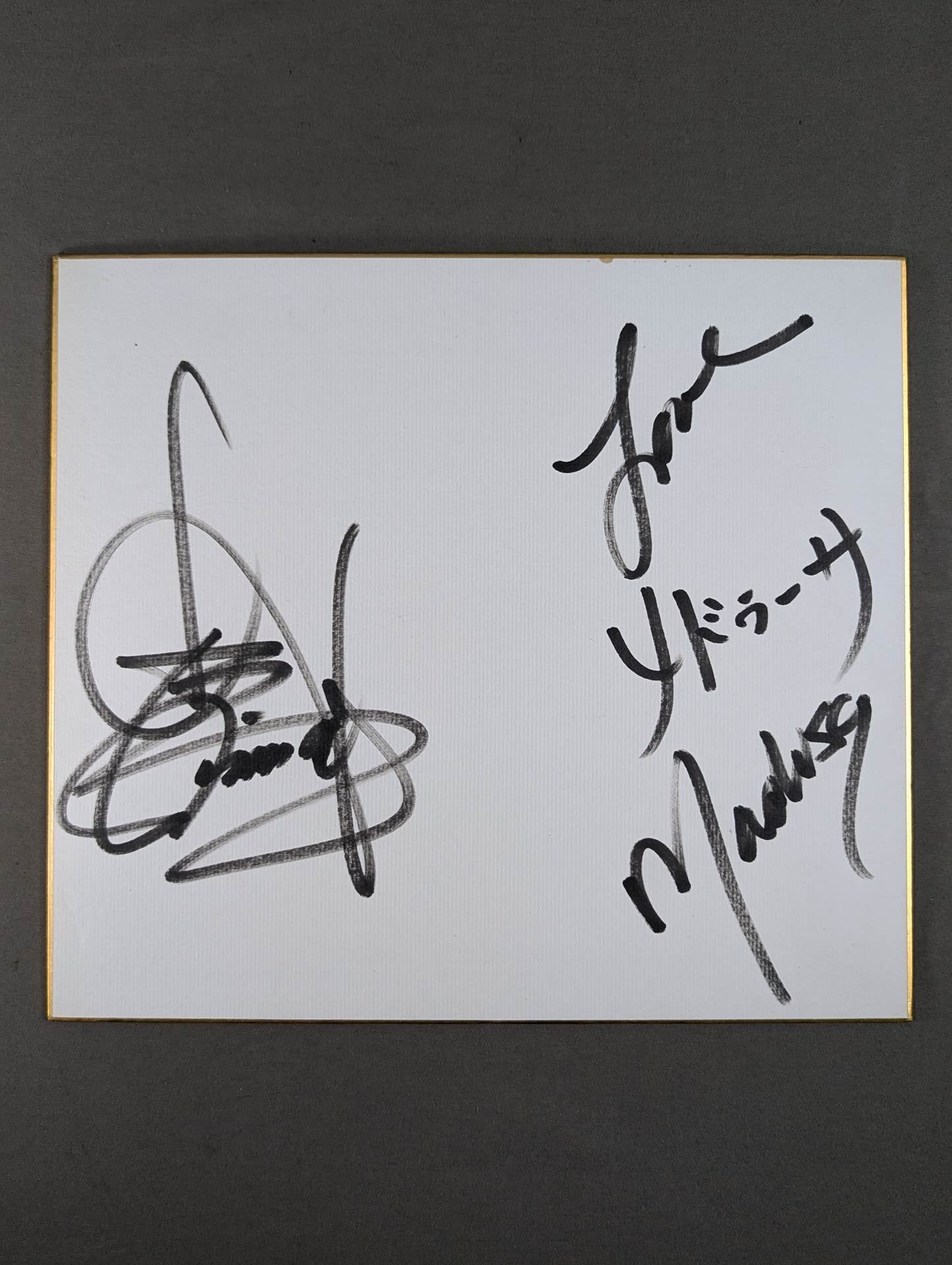 アニマル浜口＆メデューサ