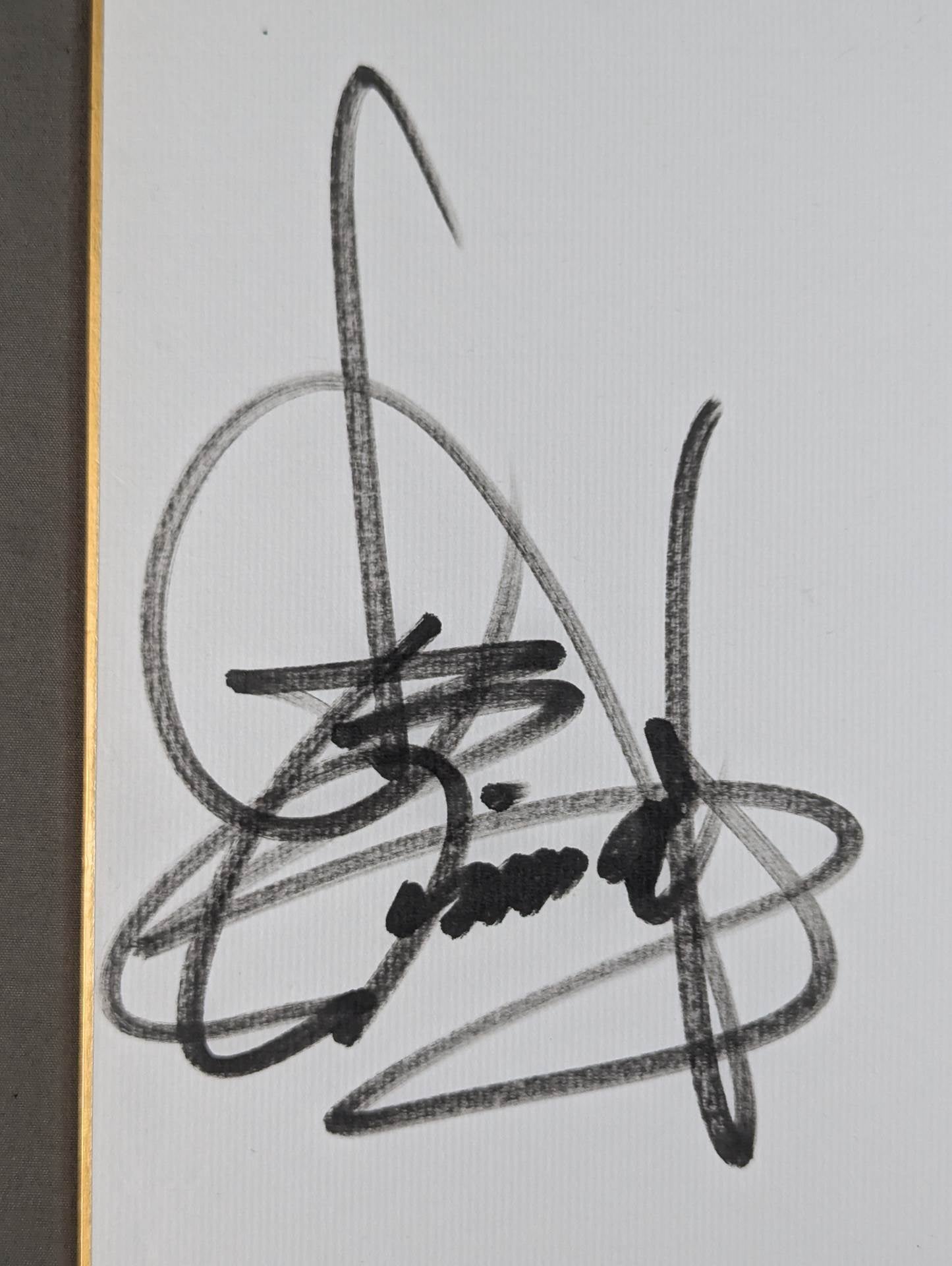 アニマル浜口＆メデューサ