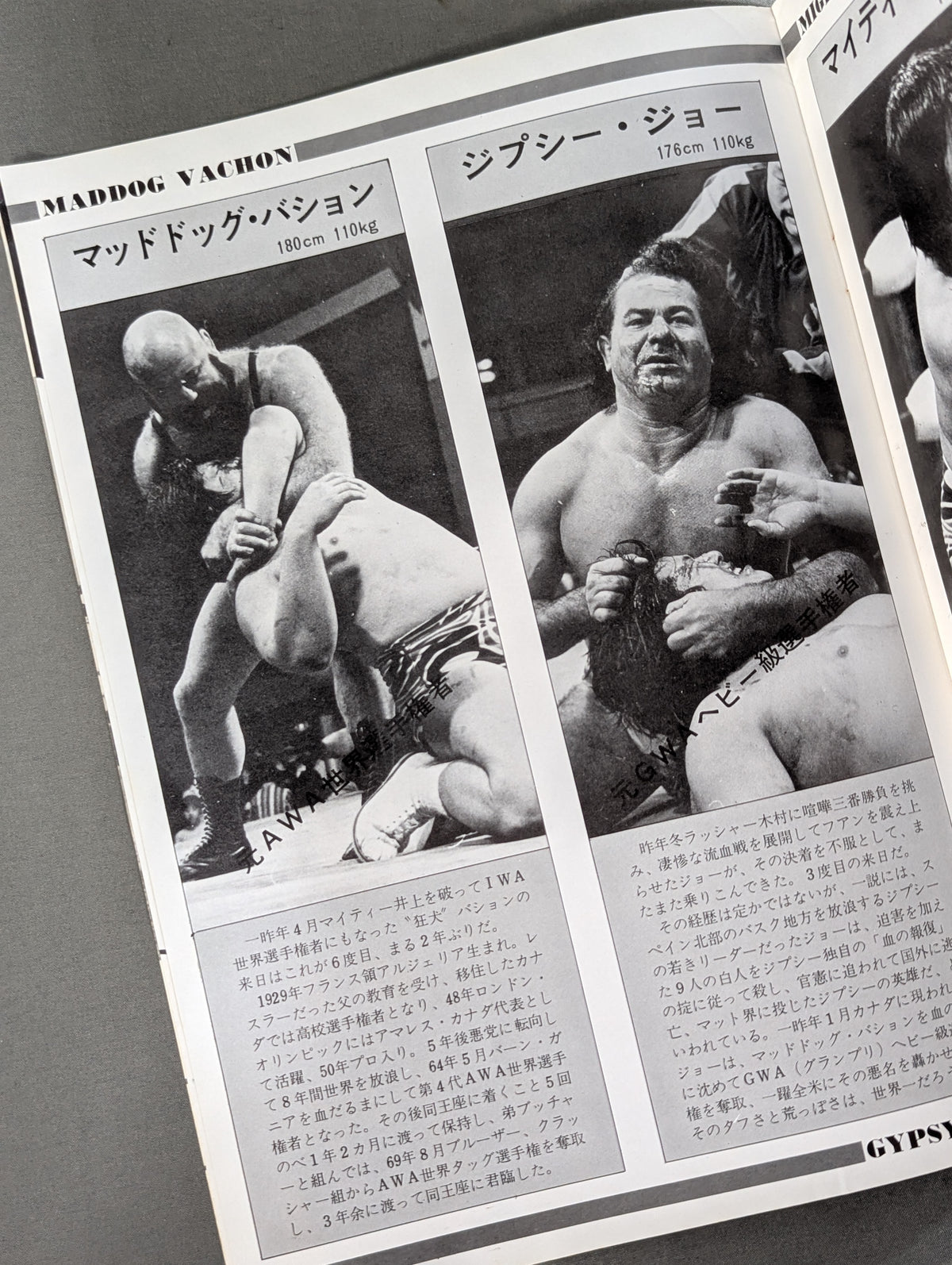 77 6th IWA World Series / 1st IWA Tag Tournament