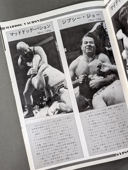 77 6th IWA World Series / 1st IWA Tag Tournament