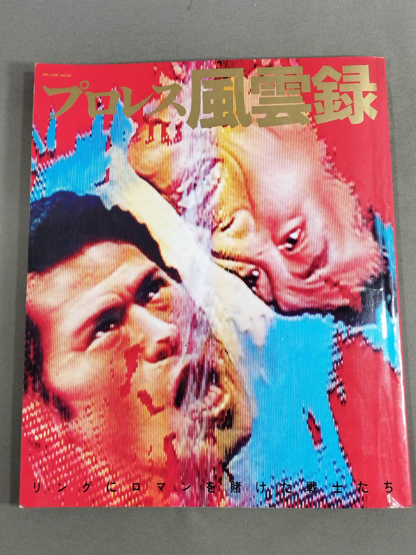 Pro Wrestling Warriors who bet romance on the ring