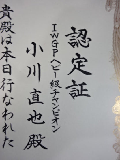 ★ Shinya Hashimoto vs. Naoya ★ Ogawa IWGP Heavyweight Championship Winner's certificate of fighters championship match