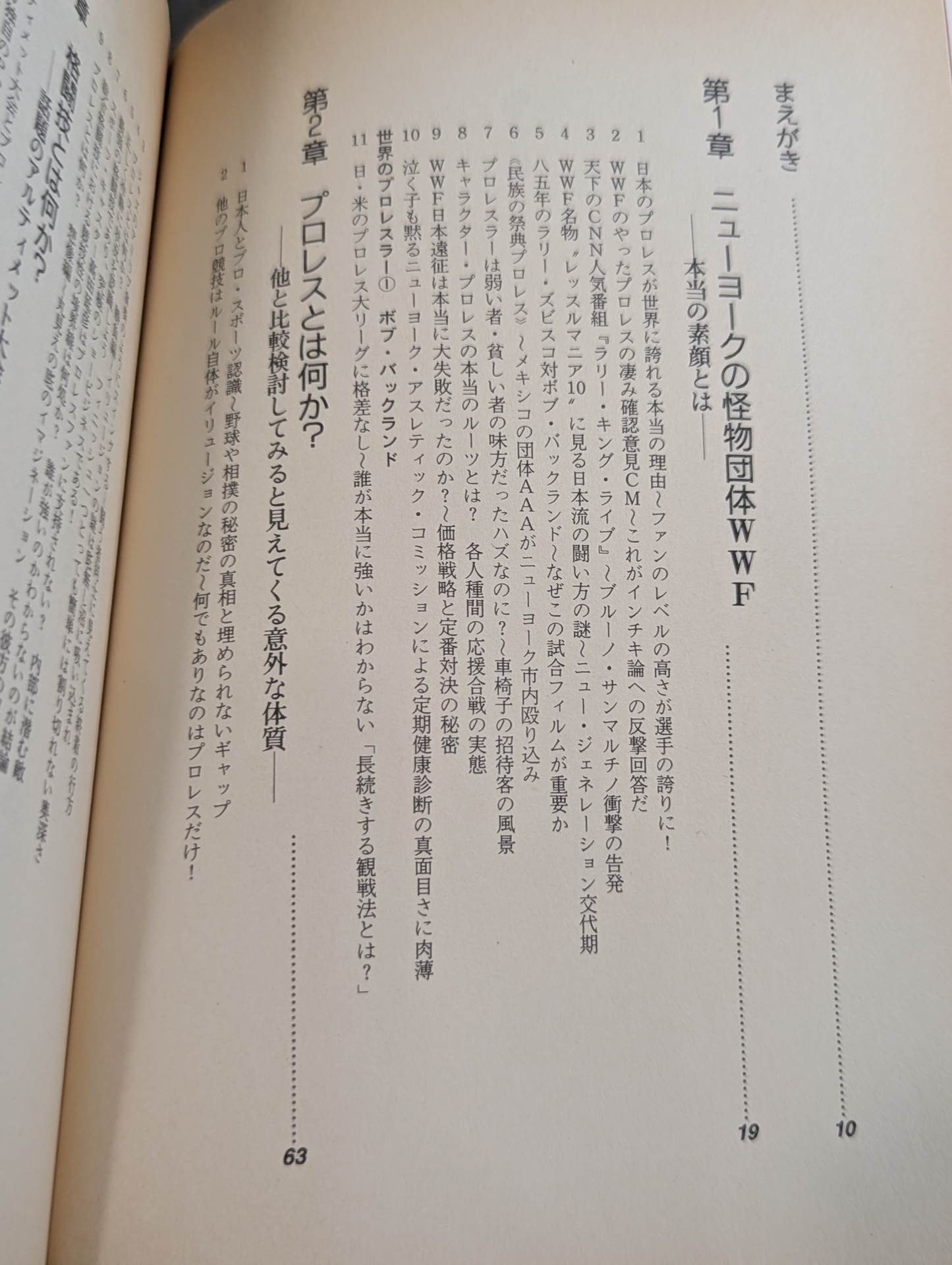 プロレス・格闘技､縦横無尽。