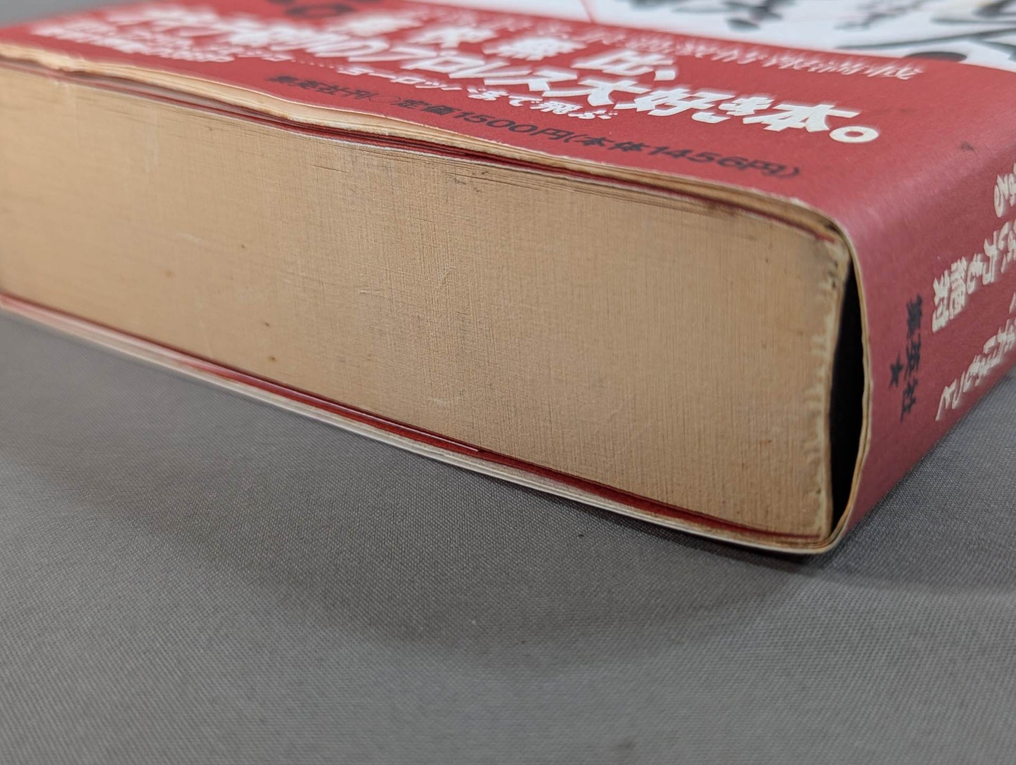 プロレス・格闘技､縦横無尽。