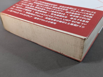 プロレス・格闘技､縦横無尽。