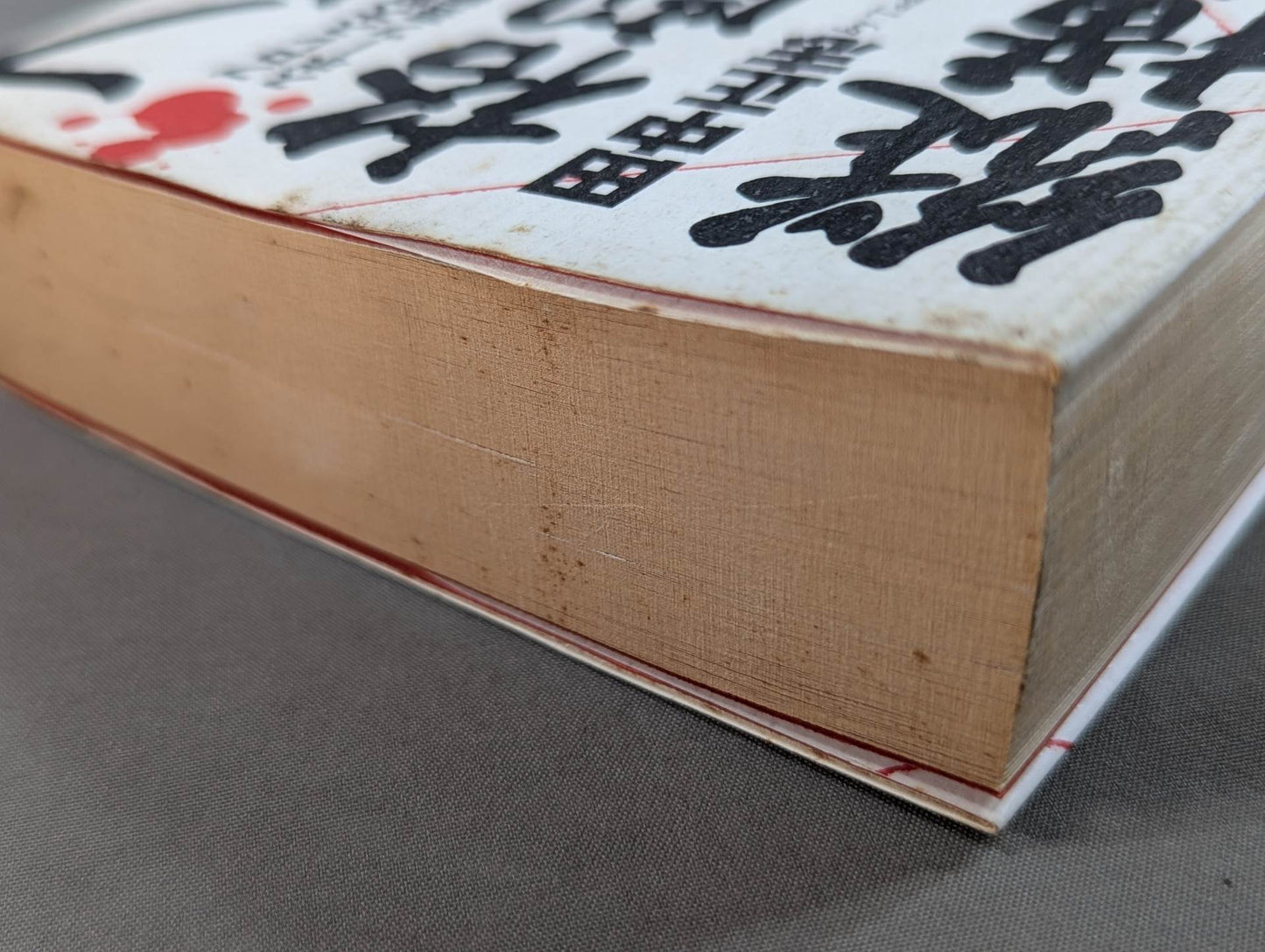 プロレス・格闘技､縦横無尽。