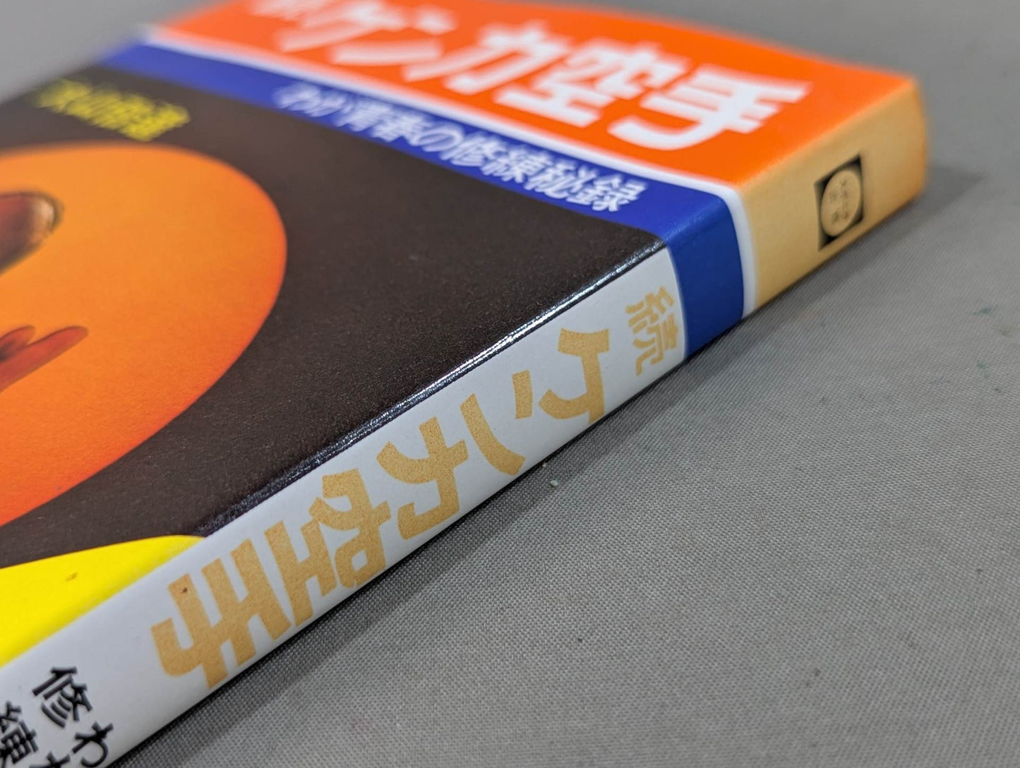 続ケンカ空手 わが青春の修練秘録