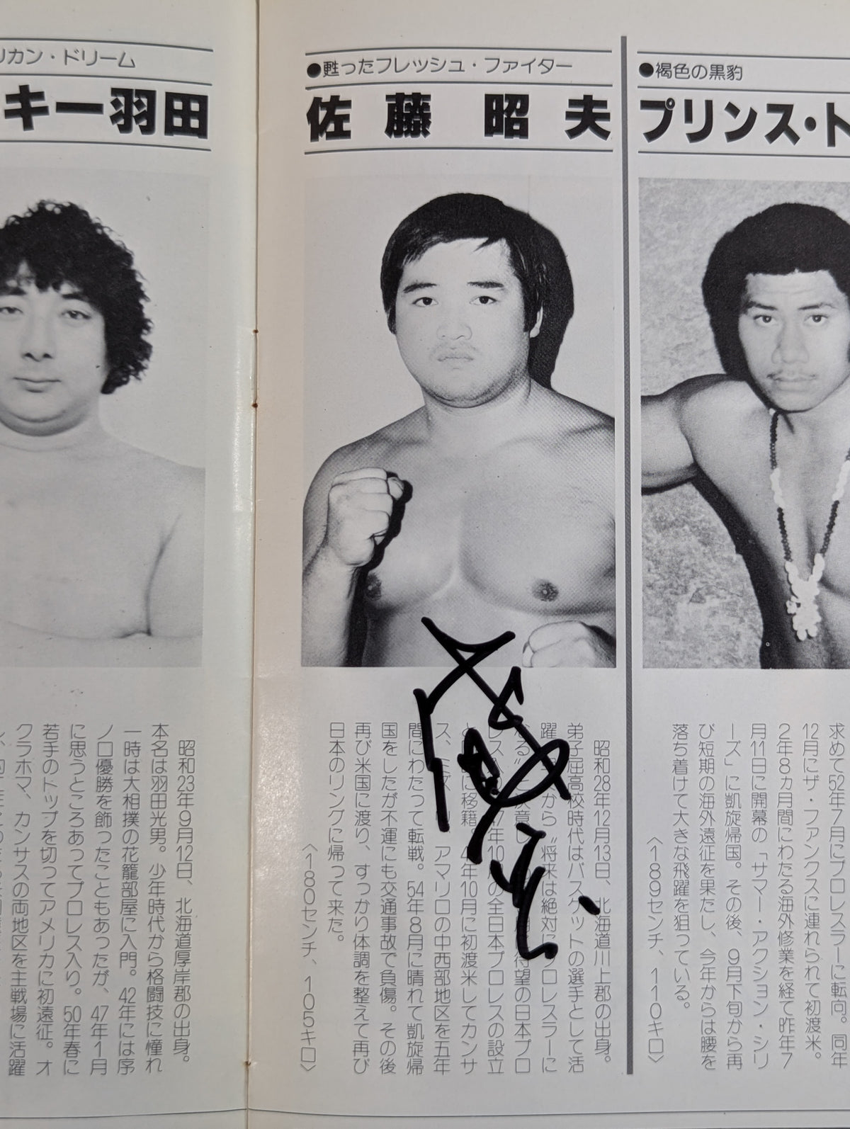 【3選手直筆サイン入り】81第9回チャンピオン・カーニバル(開幕戦)