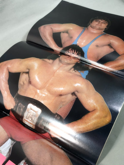 Fighting Spirit Super Comic September Issue Extra Issue