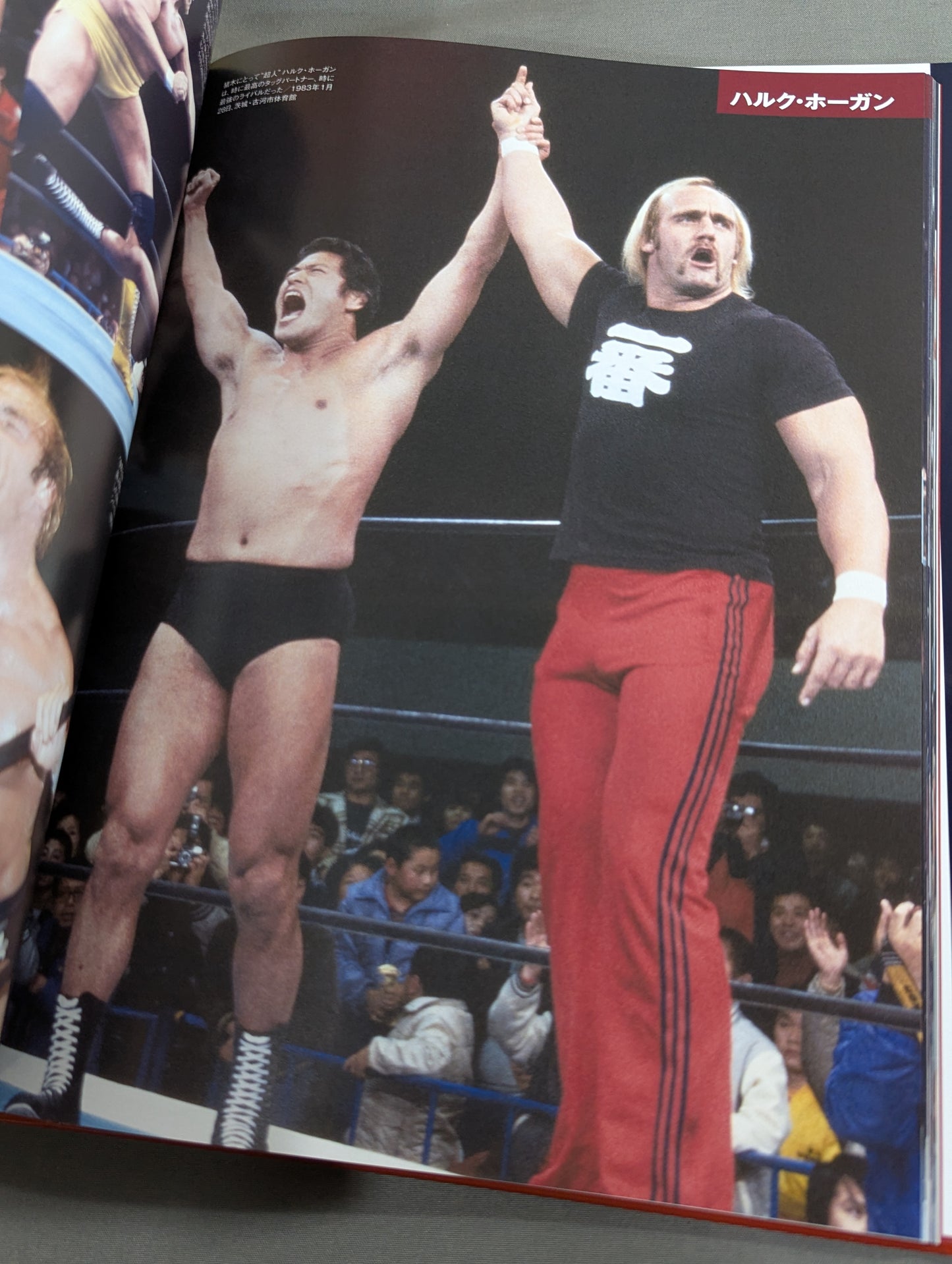 Antonio Inoki  Eternal fighting spirit, fierce battle legend