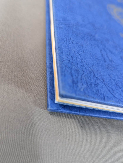 New Japan Pro Wrestling  20 Years History 20th Anniversary Collector's Edition