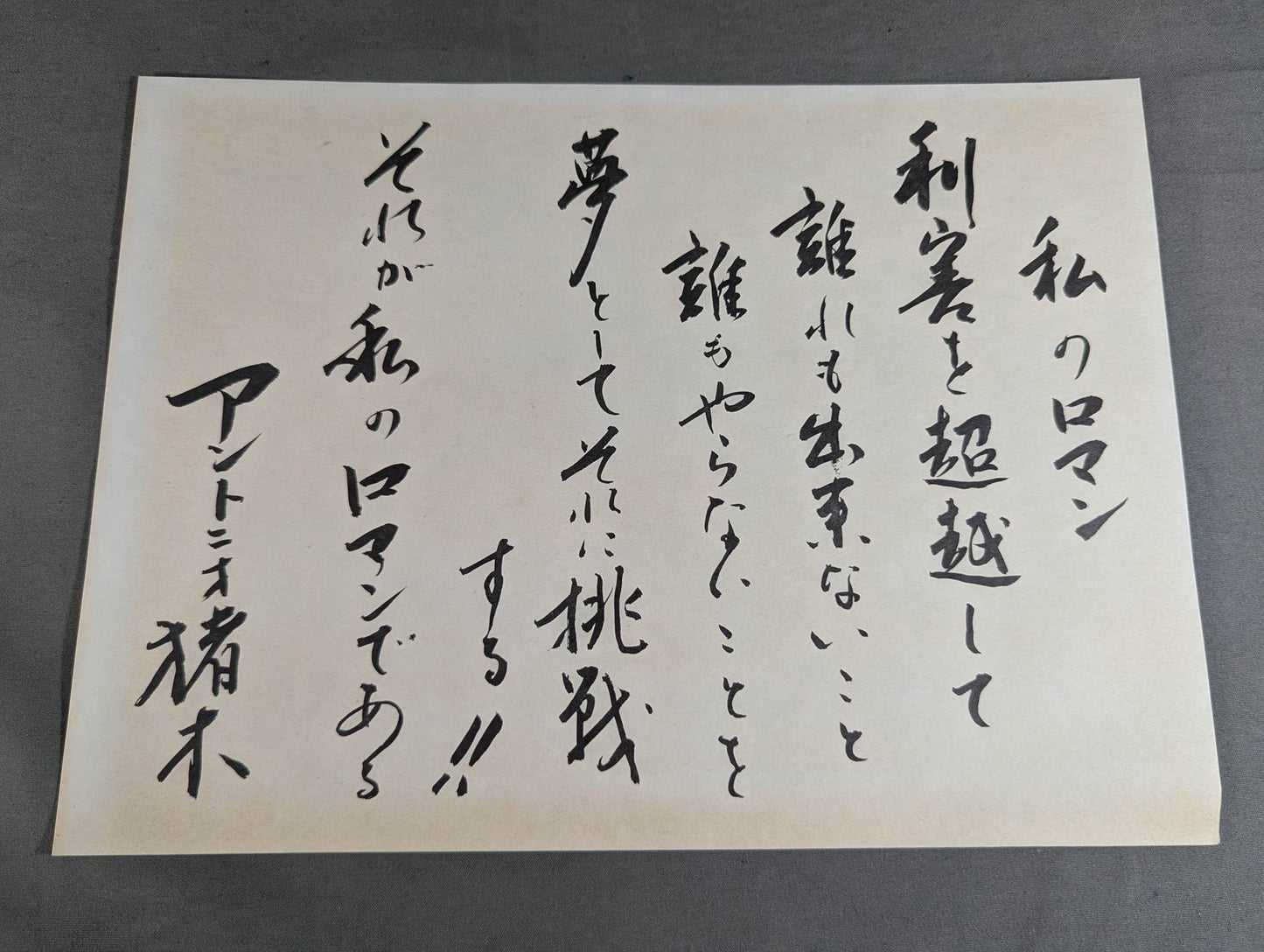 New Japan Pro Wrestling  20 Years History 20th Anniversary Collector's Edition