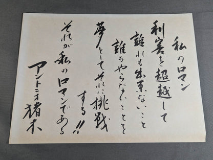 New Japan Pro Wrestling  20 Years History 20th Anniversary Collector's Edition