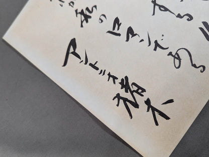 New Japan Pro Wrestling  20 Years History 20th Anniversary Collector's Edition