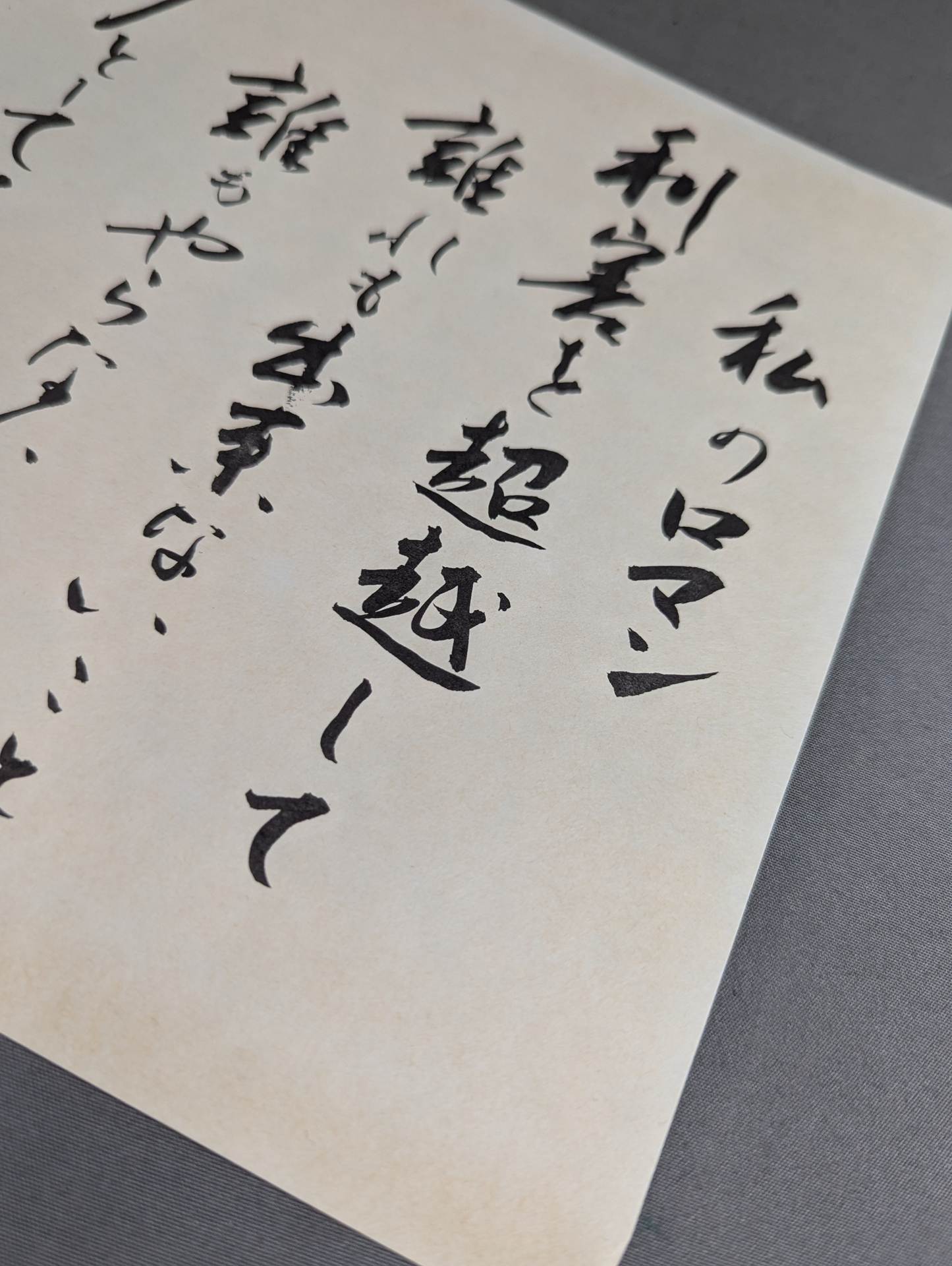 New Japan Pro Wrestling  20 Years History 20th Anniversary Collector's Edition