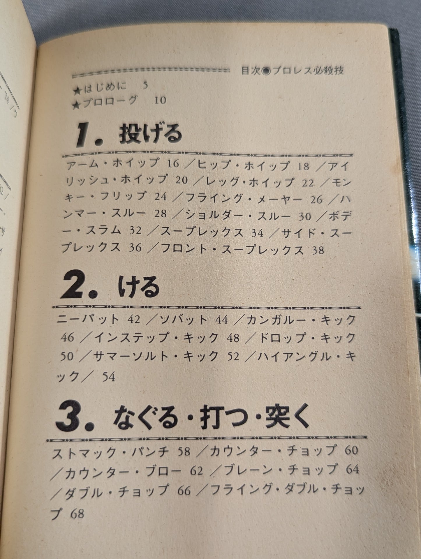 Mame Tanuki Book 101 Pro Wrestling  Special Move