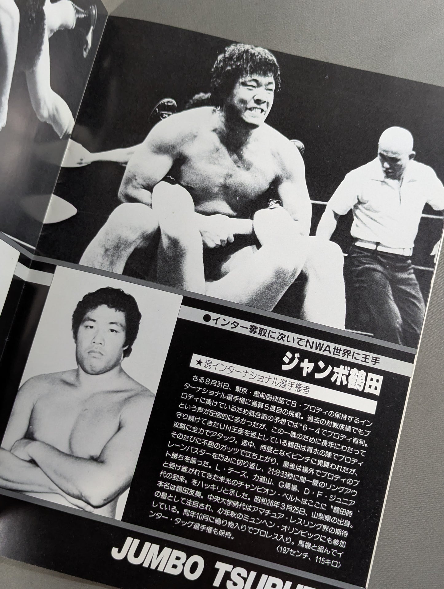 ★ Tsuruta vs. Races NWA Match ★ 83 Giant Series