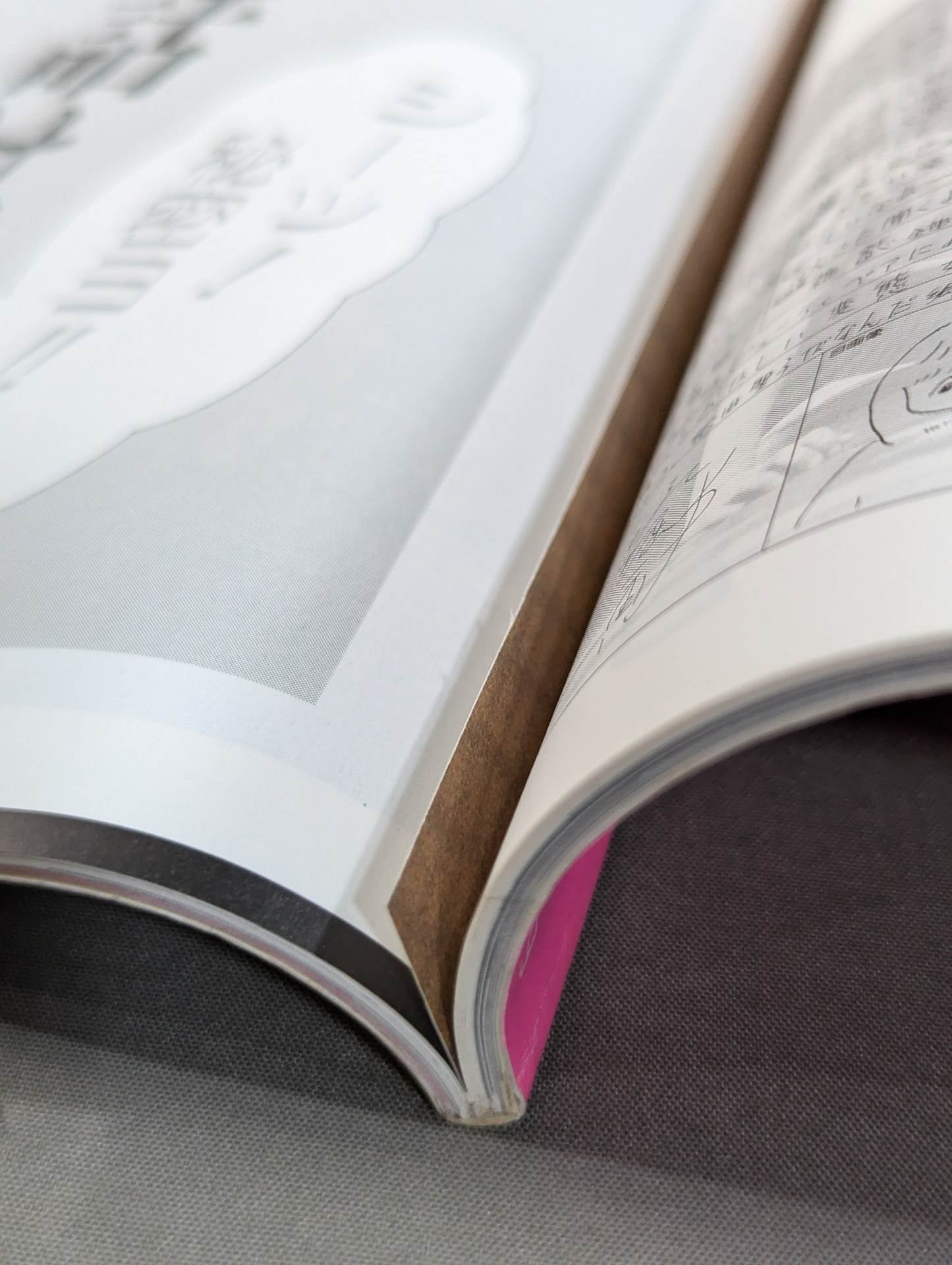 素顔の女子プロレス キミのハートにクラッシュ!!女子プロと一緒に作った本!