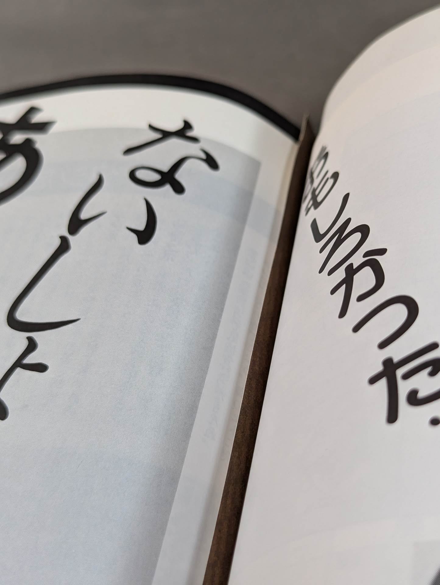 素顔の女子プロレス キミのハートにクラッシュ!!女子プロと一緒に作った本!