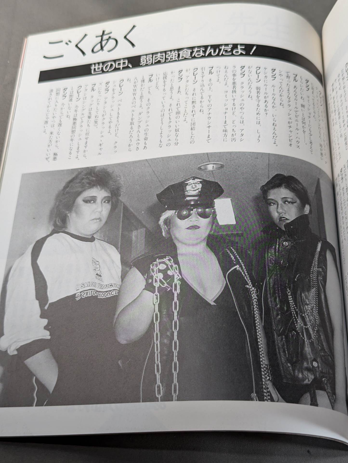 素顔の女子プロレス キミのハートにクラッシュ!!女子プロと一緒に作った本!