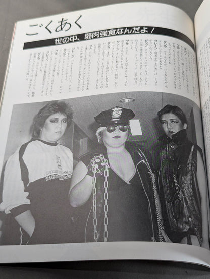 素顔の女子プロレス キミのハートにクラッシュ!!女子プロと一緒に作った本!