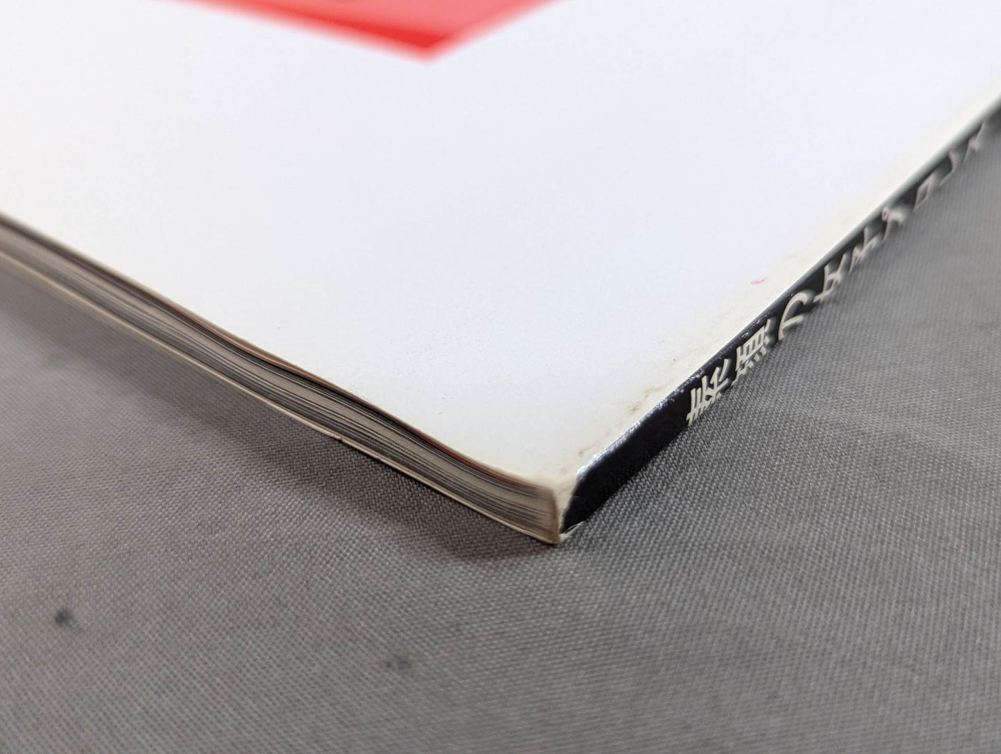 素顔の女子プロレス キミのハートにクラッシュ!!女子プロと一緒に作った本!