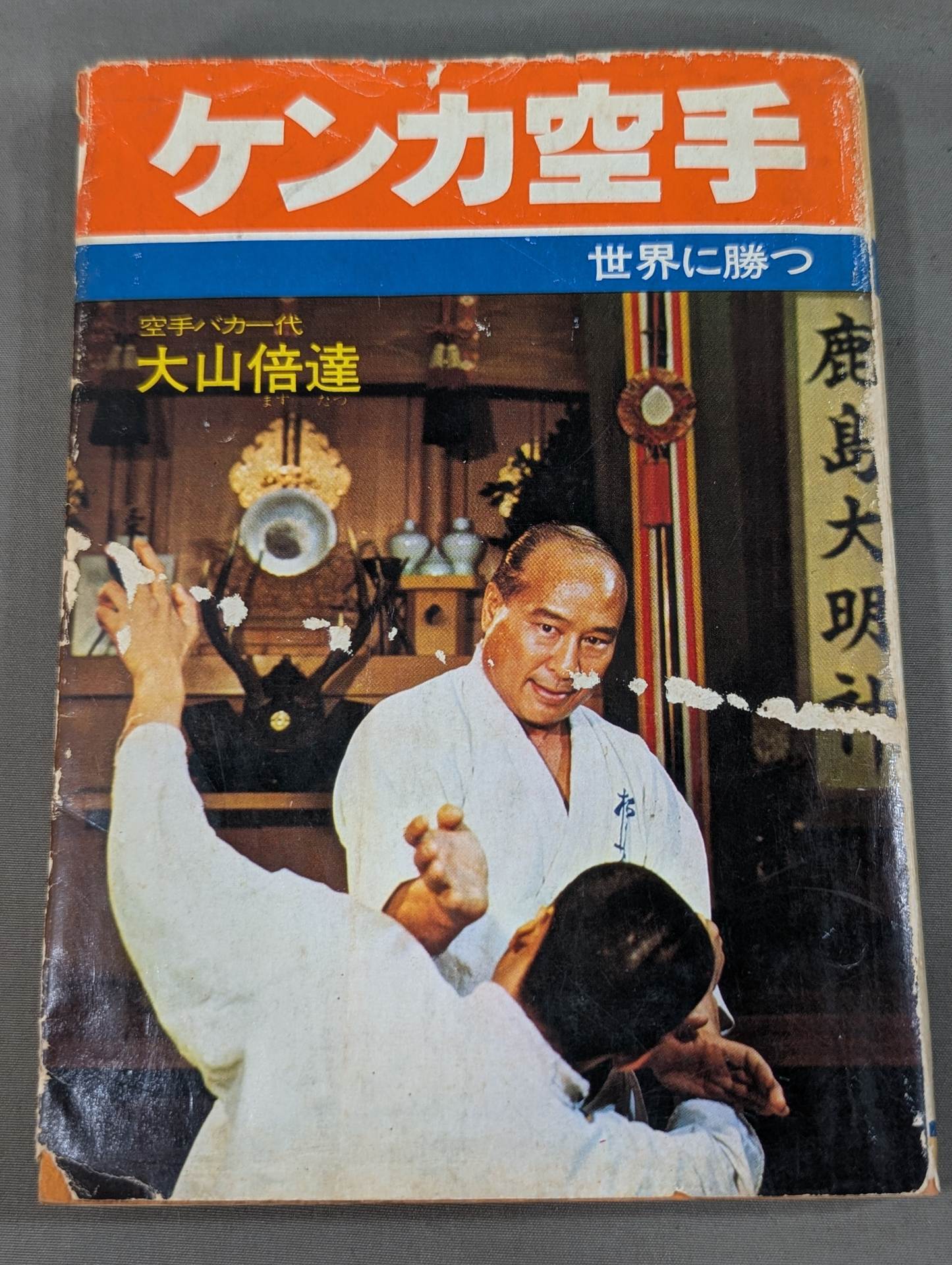 ケンカ空手 世界に勝つ