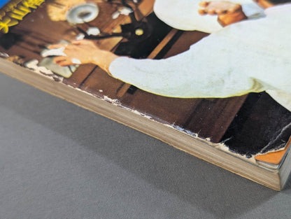 ケンカ空手 世界に勝つ