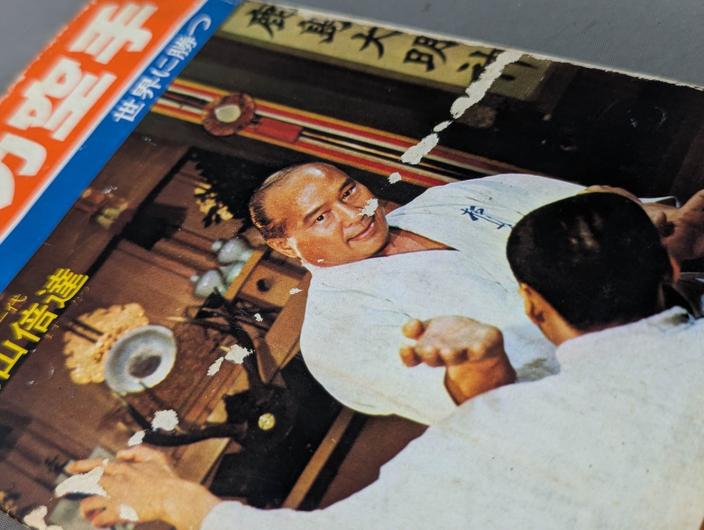 ケンカ空手 世界に勝つ