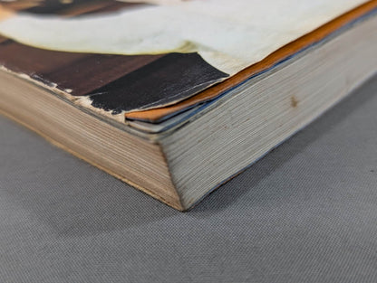 ケンカ空手 世界に勝つ