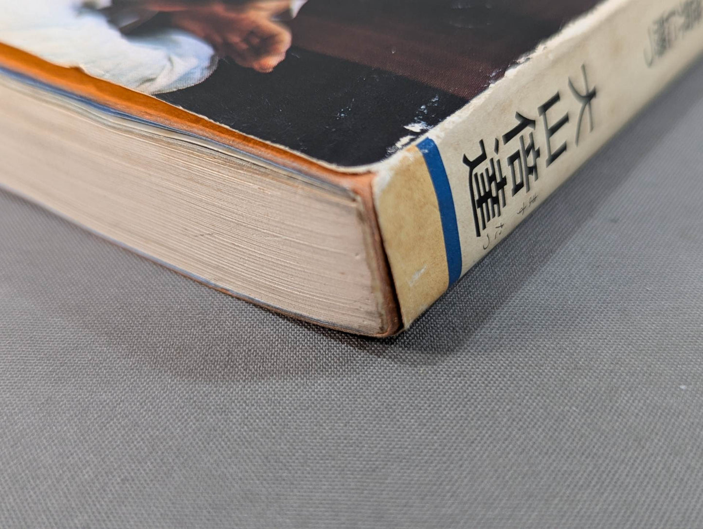 ケンカ空手 世界に勝つ