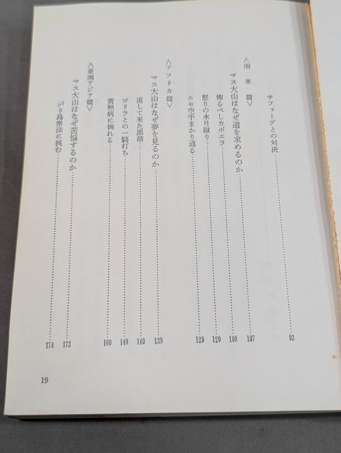 ケンカ空手 世界に勝つ