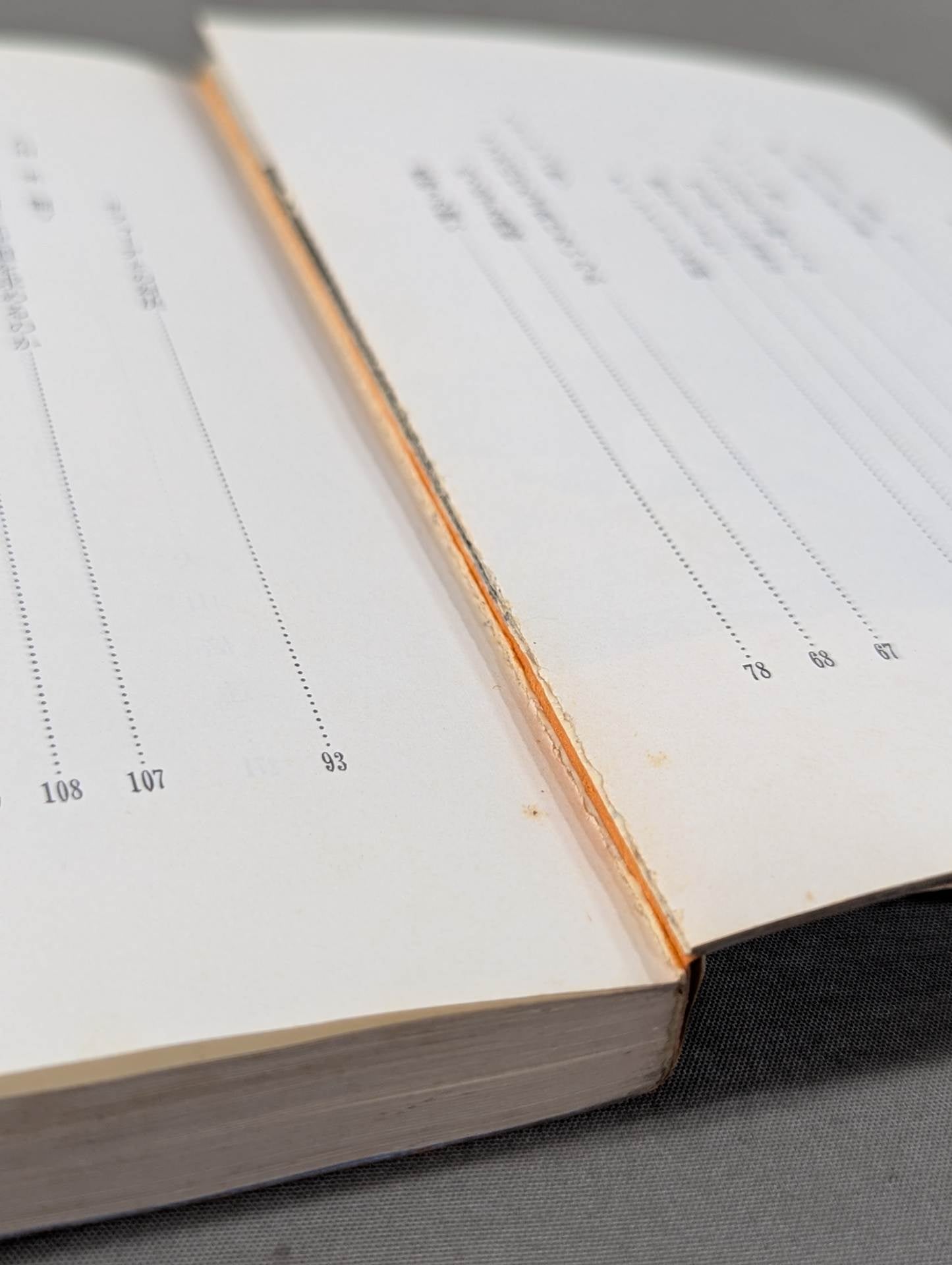 ケンカ空手 世界に勝つ