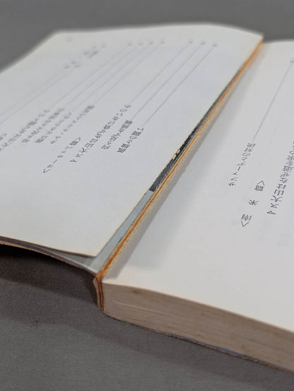 ケンカ空手 世界に勝つ