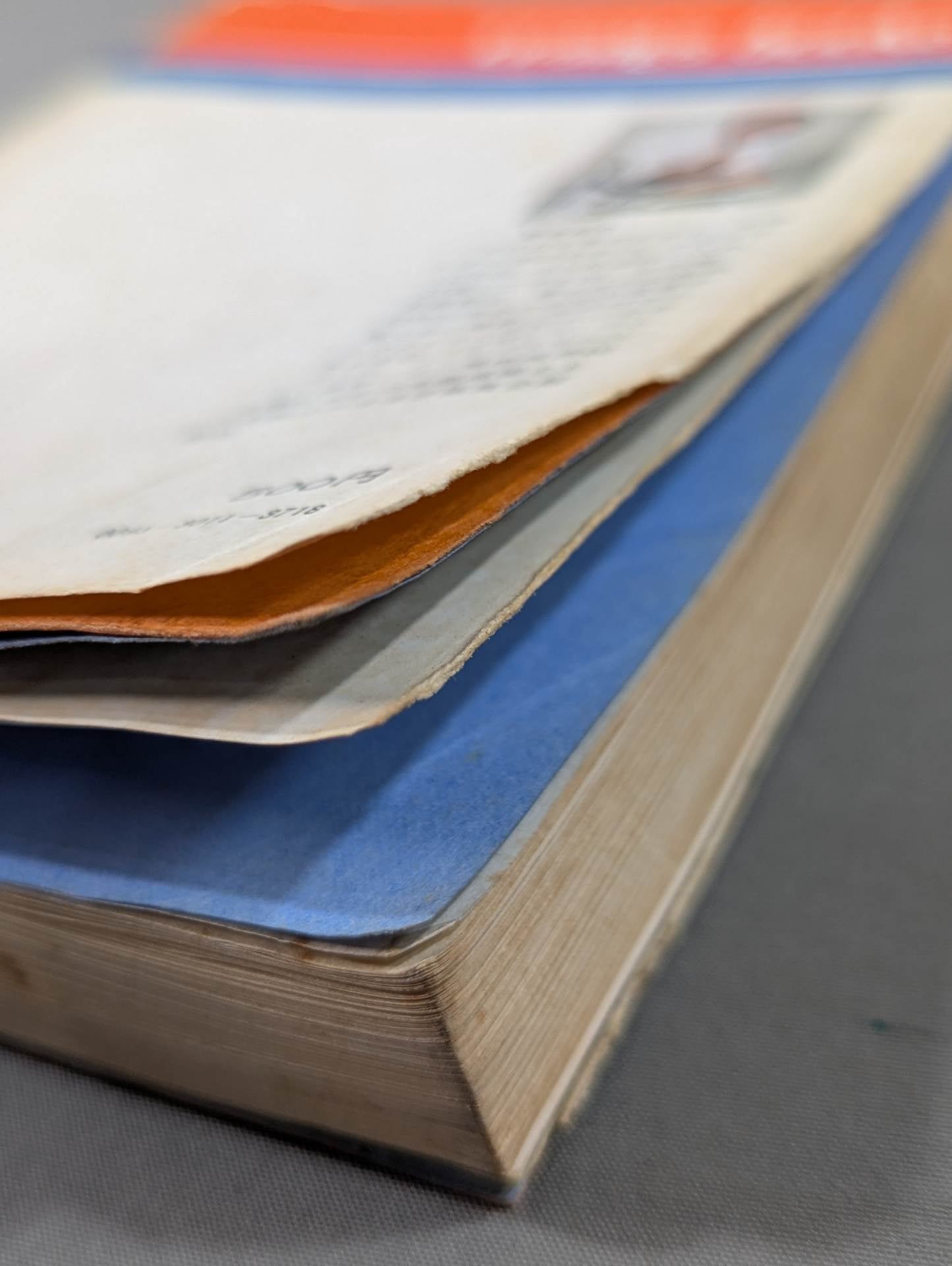 ケンカ空手 世界に勝つ