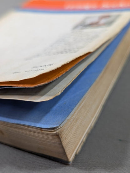 ケンカ空手 世界に勝つ