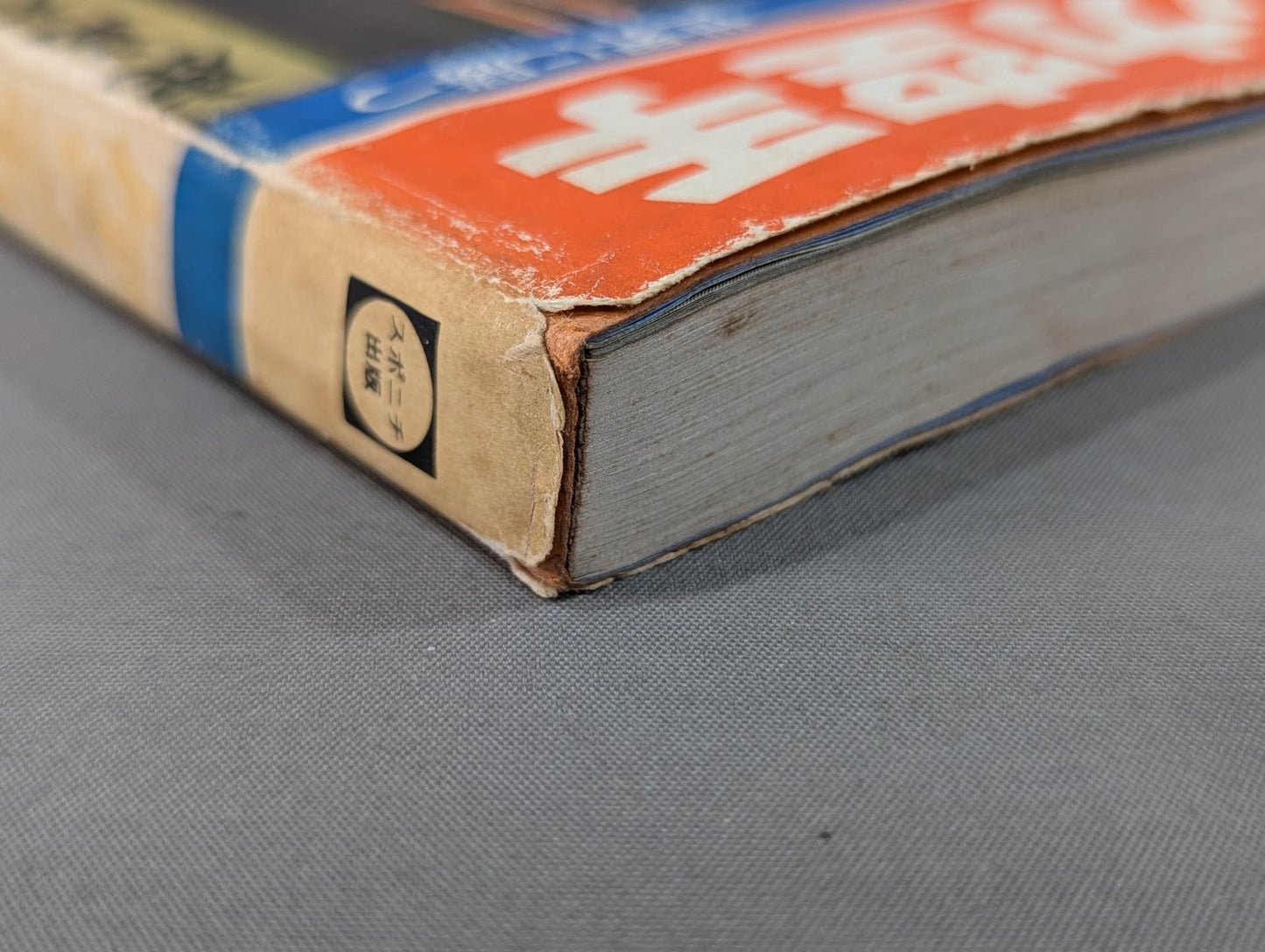 ケンカ空手 世界に勝つ