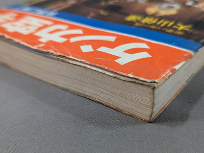 ケンカ空手 世界に勝つ