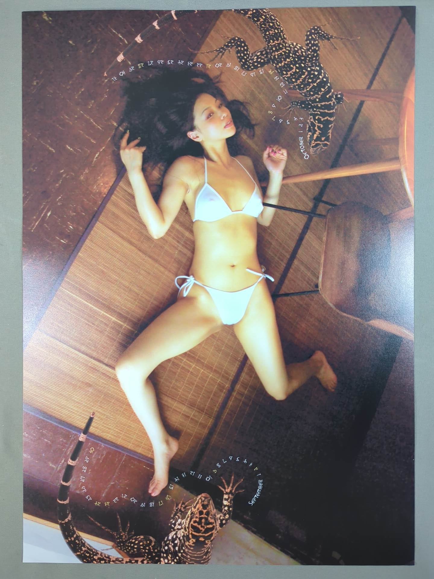 【hand signed autograph】 Inlin of Joytoys 2007 Calendar