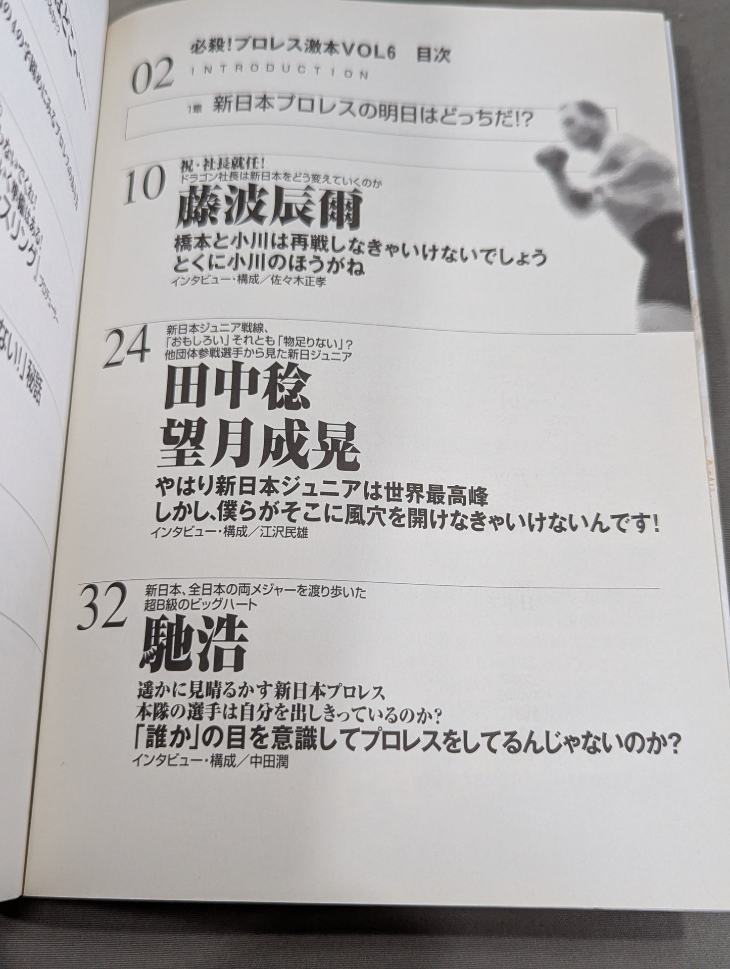 Deadly! Pro Wrestling  6 New Japan Pro Wrestling Which tomorrow will be!?
