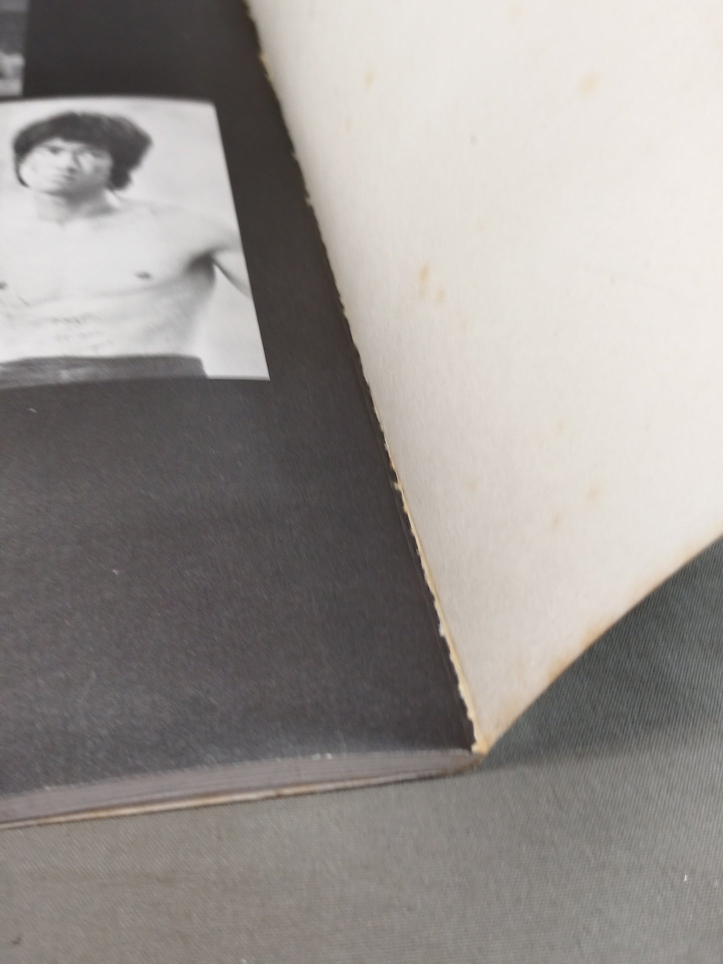 BRUCE LEE The Untold Story