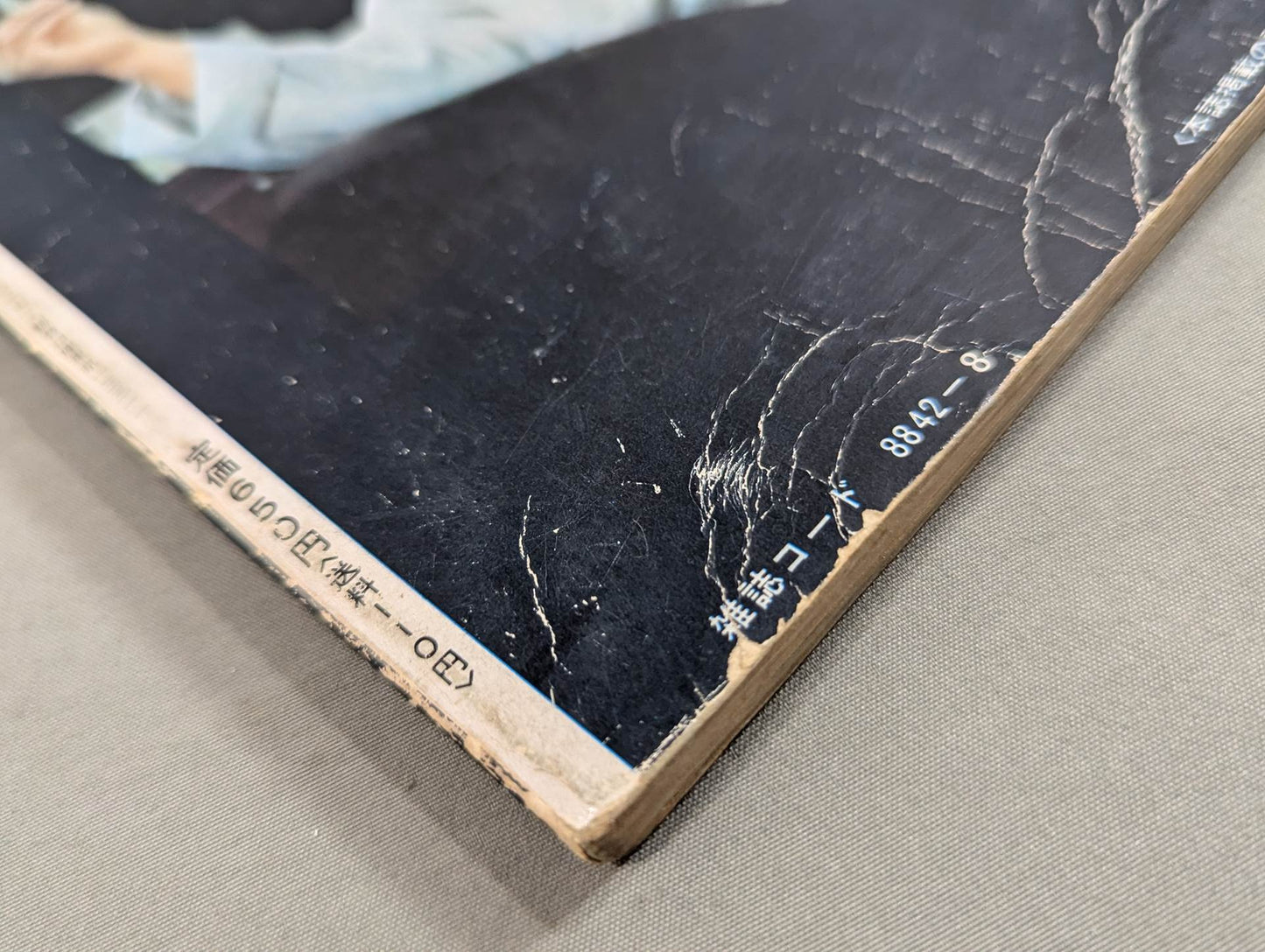 決定版ブルース・リー ヤングアイドルナウ臨時増刊号